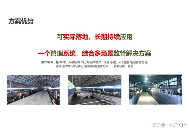 探索新澳芳草地，正版資料的免押之旅（2025年最新資訊），探索新澳芳草地，正版資料免押之旅（最新資訊）
