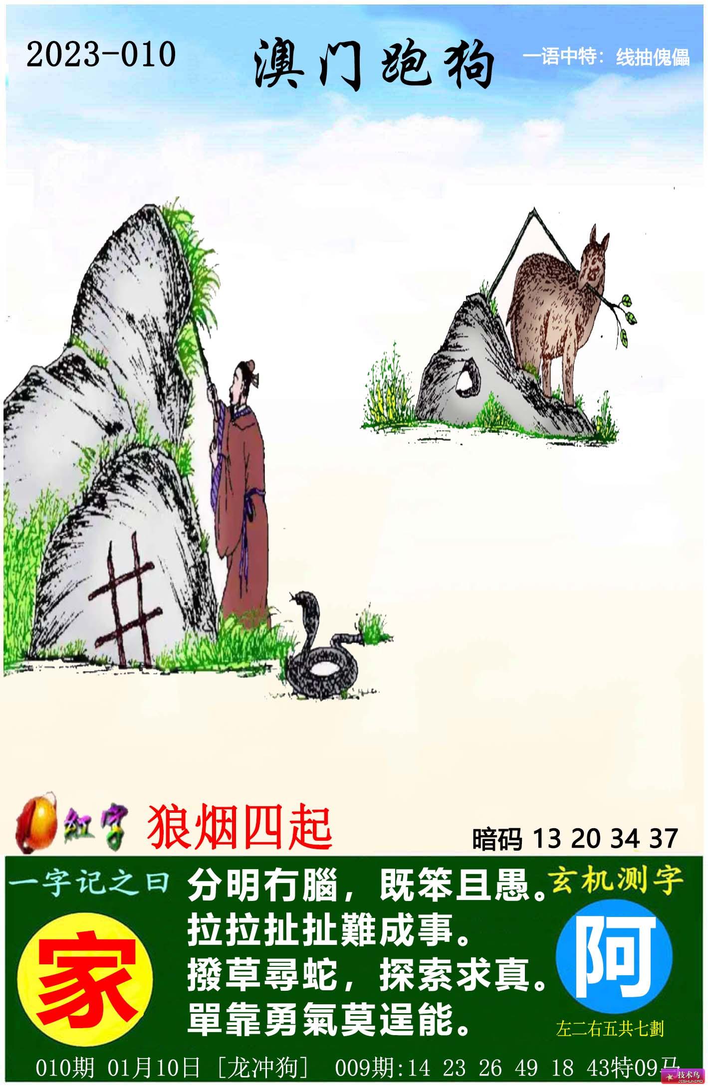 最新更新內(nèi)容，探索7777788888跑狗圖的奧秘，揭秘跑狗圖奧秘，最新更新探索7777788888的神秘面紗