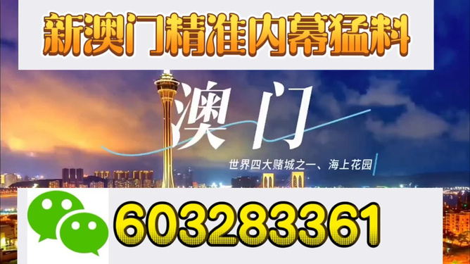 新澳門今晚開獎結果揭曉，探索彩票背后的秘密與期待，新澳門今晚開獎結果揭曉，彩票背后的秘密與期待揭曉之夜