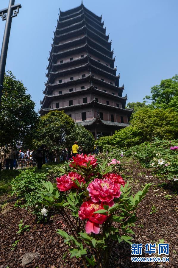六和彩開碼資料網——探索彩票世界的門戶，六和彩開碼資料網，彩票世界探索之門