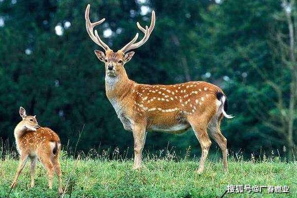最新版本的6566cc澳彩資料大全介紹與特色功能解析，圖庫升級亮點一覽，最新6566cc澳彩資料大全介紹與特色功能解析，圖庫升級亮點全揭秘