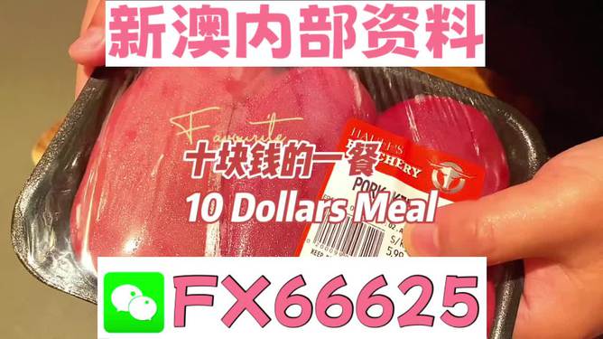 SEO優化策略探討