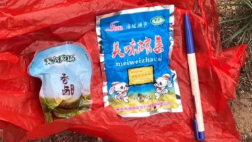 澳門最精準龍門，探索真實的精準之道，澳門最精準龍門，揭秘真實精準之道