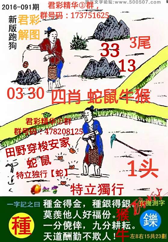 揭秘7777788888精準新跑狗圖，全方位解讀其背后的秘密，揭秘新跑狗圖7777788888，全方位解讀背后的真相與秘密