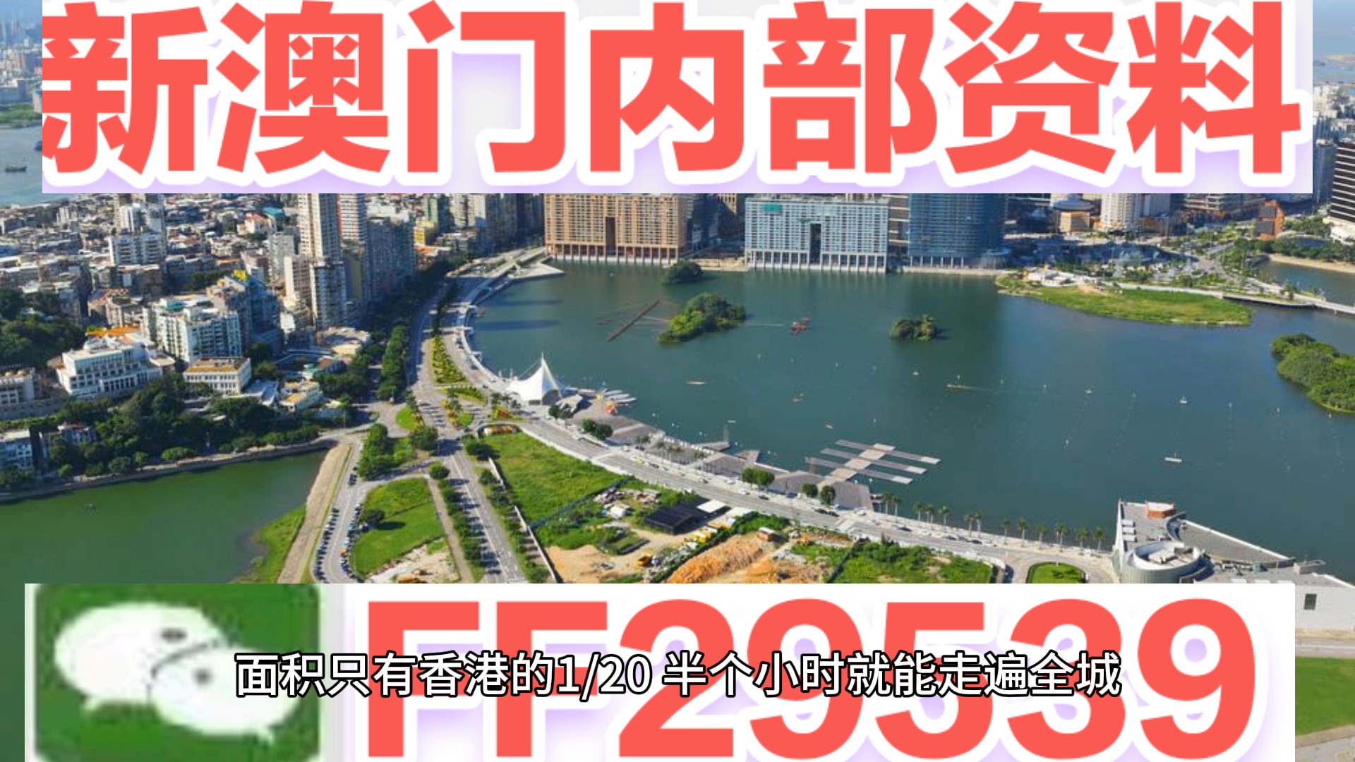 澳門彩票預(yù)測(cè)與探索，新澳門04期今晚資料分析（2025年），澳門彩票預(yù)測(cè)與探索，新澳門第04期今晚資料深度分析（2025年展望）