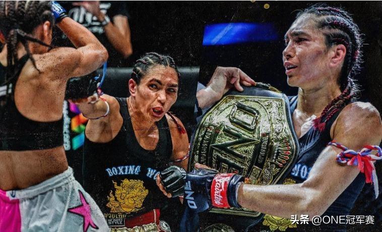 王中王免費公開精準大全——全方位解析與指南，王中王全方位解析與指南——免費公開精準大全