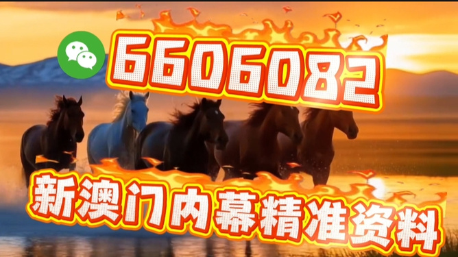 澳門今晚必開一肖一特，探索生肖彩票的魅力與預(yù)測，澳門生肖彩票探索，魅力揭秘與今晚預(yù)測一肖一特