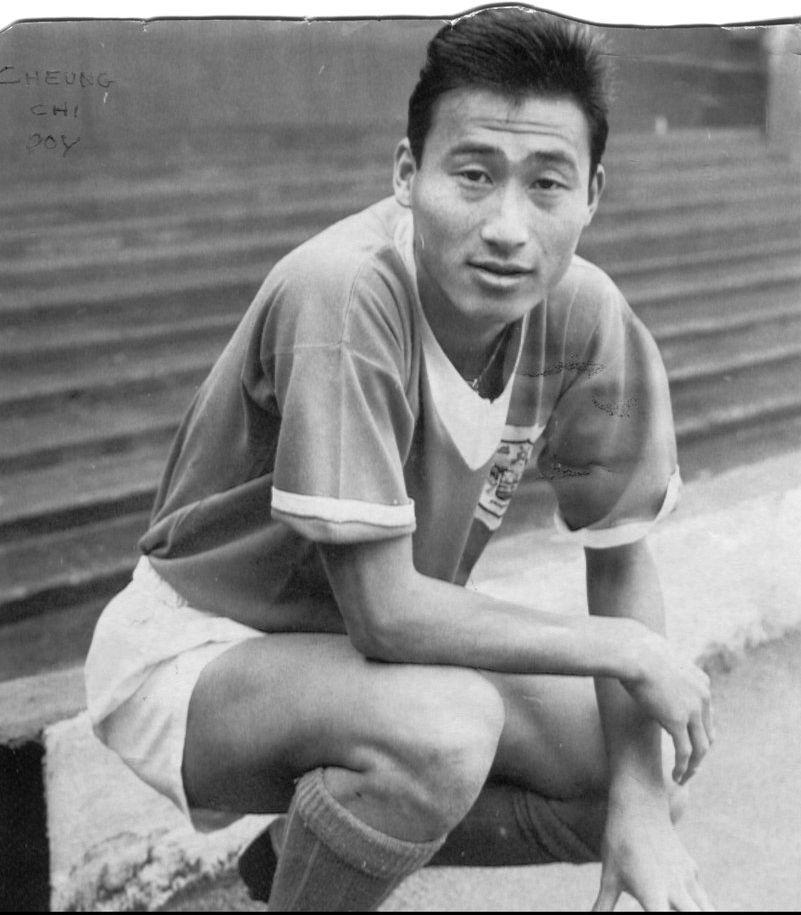 香港免費大全資料大全，探索與發現，香港免費大全資料探索與發現之旅