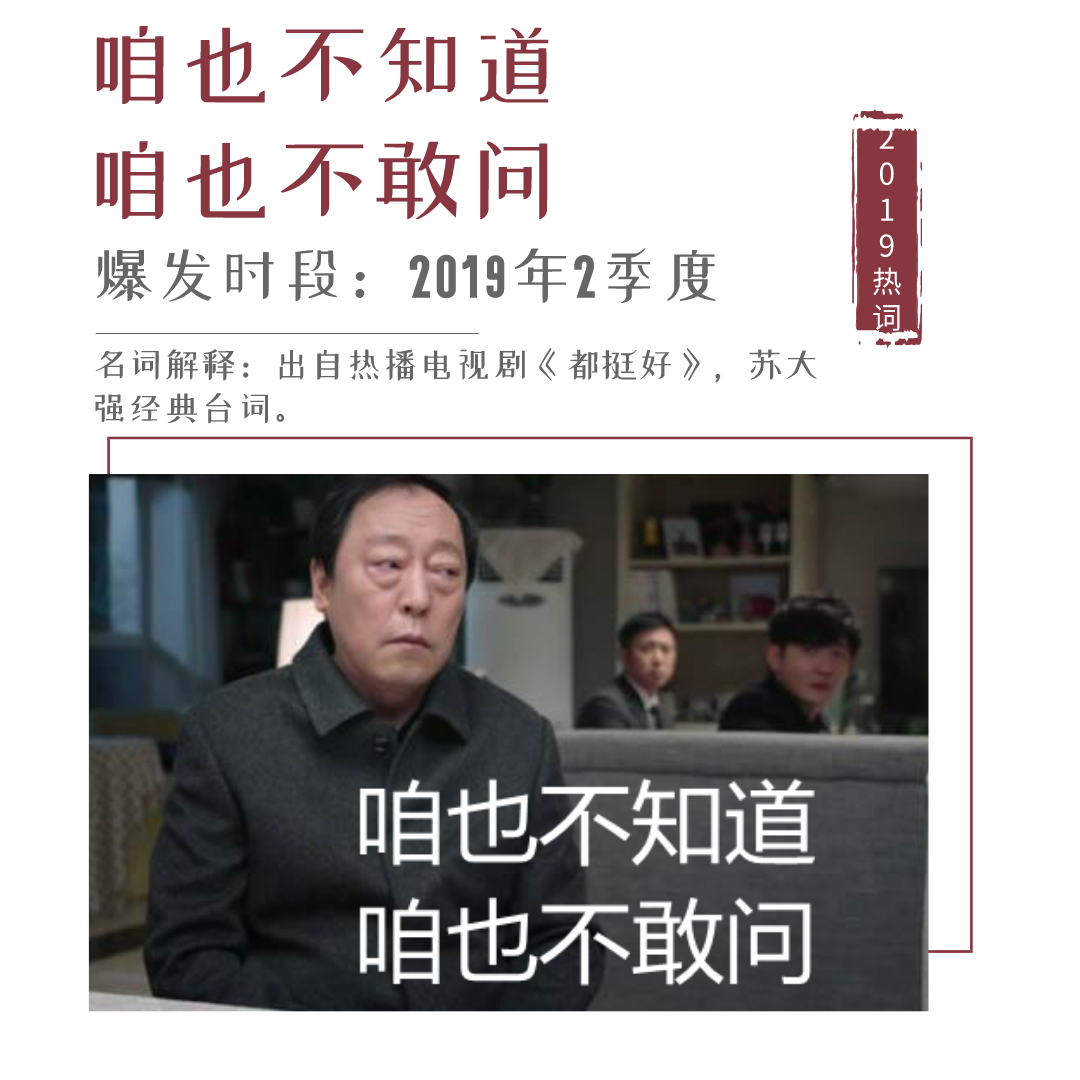 王中王一句解四肖，揭秘生肖奧秘與運勢解析，揭秘生肖奧秘與運勢解析，王中王一句解四肖探秘運勢之道