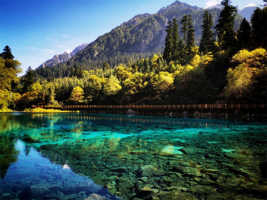 阿壩旅游網(wǎng)，探索九寨溝門票的最佳選擇，阿壩旅游網(wǎng)，探索九寨溝門票的最佳平臺(tái)