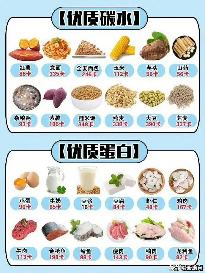 各種食物熱量表大全，健康飲食的必備指南，食物熱量表全面解析，健康飲食的必備指南
