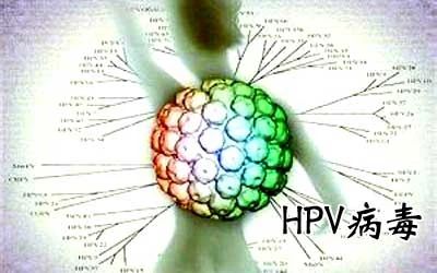 HPV病毒能否徹底清除？深度解析與應對策略，深度解析HPV病毒能否徹底清除，應對策略及應對方法
