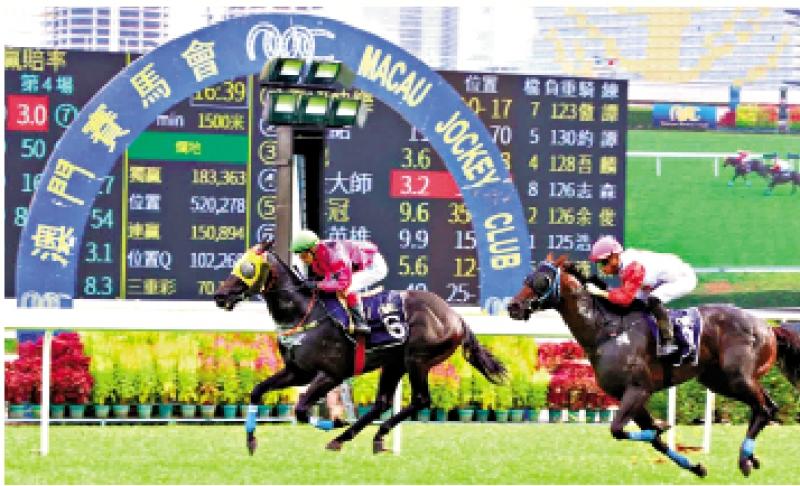 澳門賽馬會，歷史、文化與激情的交融，澳門賽馬會，歷史、文化與激情的盛會