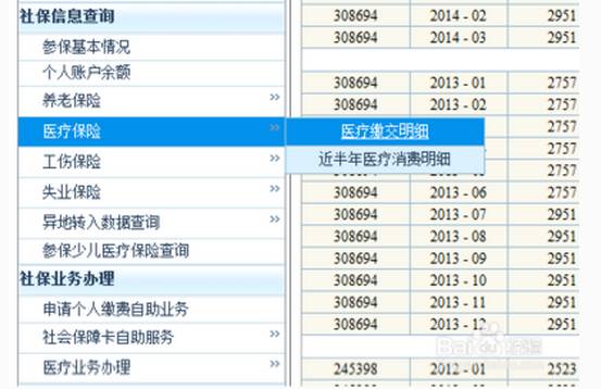 2025新澳門歷史記錄查詢完全指南，澳門歷史記錄查詢完全指南（2025版）