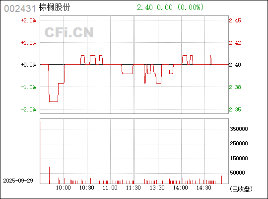 探索棕櫚股份股吧，深度解析與前景展望（股票代碼，002431），棕櫚股份深度解析與前景展望，股票代碼002431