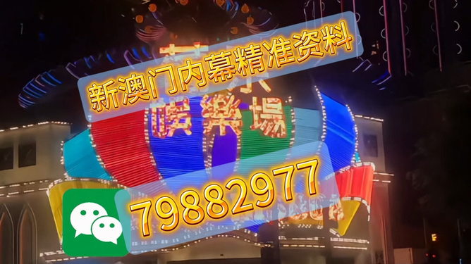 澳門今晚必開一肖一特官方推薦——深度解析與預測，澳門今晚必開一肖一特官方推薦，深度預測與解析報告