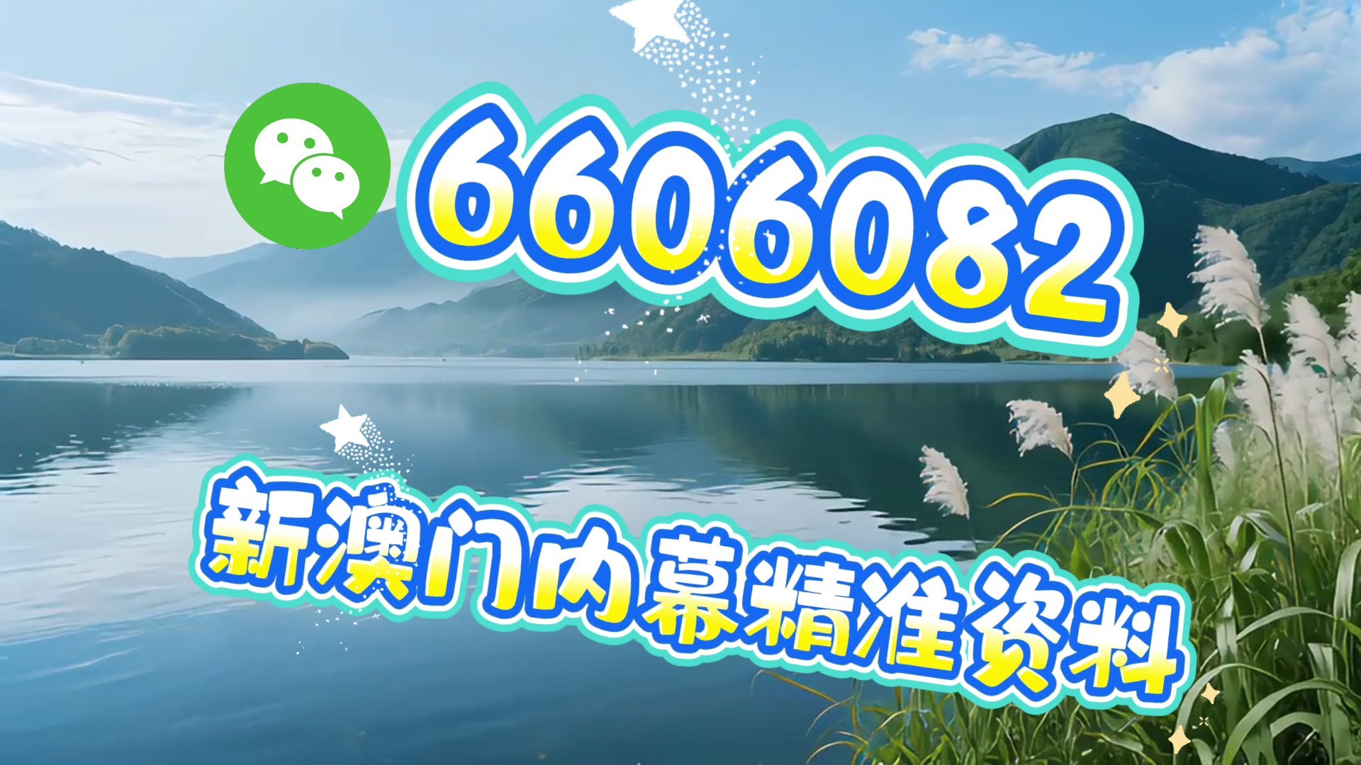澳門一肖一碼必開一肖一碼，揭秘彩票背后的秘密，澳門彩票揭秘，一肖一碼必開之謎