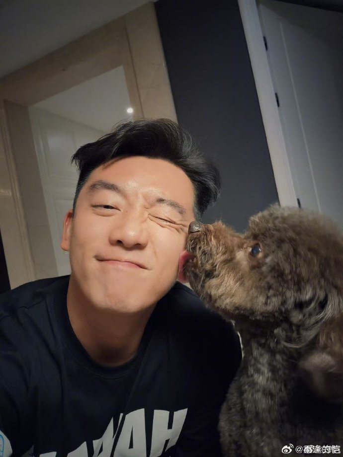 鄭愷微博，星光璀璨，與粉絲互動的無盡魅力，鄭愷微博，星光魅力與粉絲互動的璀璨舞臺