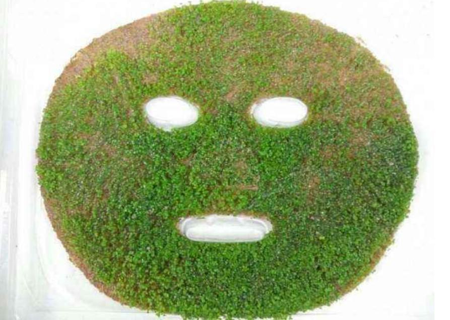 海藻面膜可以天天敷嗎？——深度解析海藻面膜的使用頻率與注意事項，海藻面膜的使用頻率與注意事項解析，能否天天敷海藻面膜？