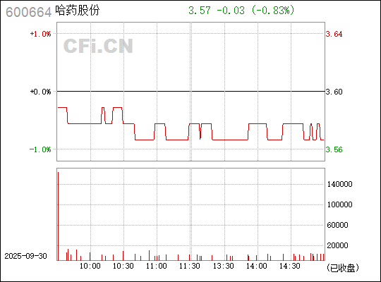 探索數字世界中的寶藏，揭秘股票代碼600664背后的故事，揭秘數字寶藏，股票代碼600664背后的故事探索