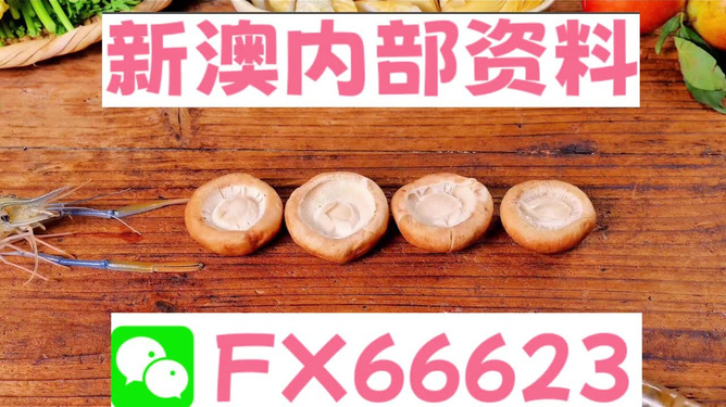 新澳全年免費資料大全——探索與學習資源的寶庫，新澳全年免費資料大全，探索與學習資源的終極寶庫