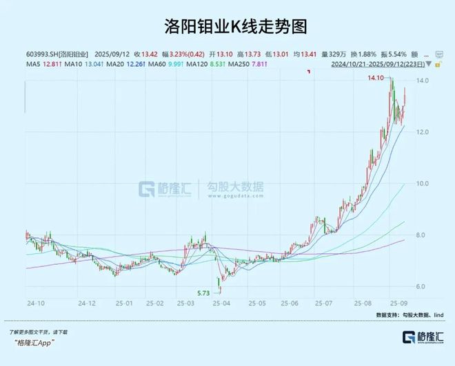 洛陽鉬業股票今日股價分析與展望，洛陽鉬業股票今日行情分析與展望