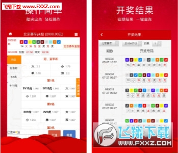 王中王三肖必出一肖，深度解析與探索，王中王三肖必出一肖，深度解析與探索揭秘