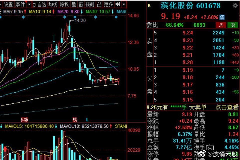 濱化股份股票，深度解析與前景展望，濱化股份股票深度解析及前景展望