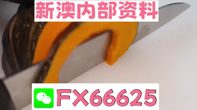 澳門管家婆，揭秘精準(zhǔn)預(yù)測(cè)的秘密武器，澳門管家婆揭秘，精準(zhǔn)預(yù)測(cè)的秘密武器全解析