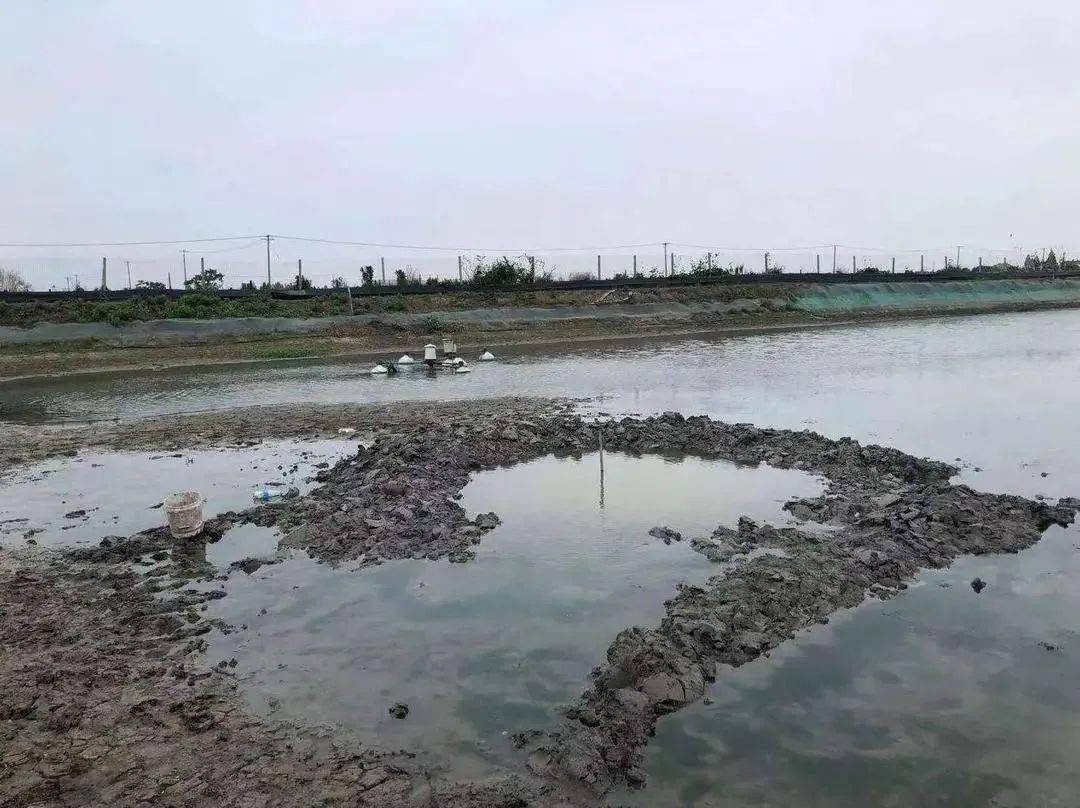 澳門六局中局開獎(jiǎng)結(jié)果查詢，輕松掌握最新開獎(jiǎng)動(dòng)態(tài)，澳門六局最新開獎(jiǎng)結(jié)果實(shí)時(shí)查詢，輕松掌握最新動(dòng)態(tài)