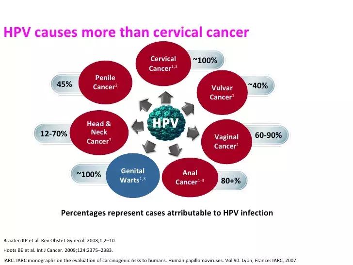 HPV52陽性可以自愈嗎？詳解HPV感染與身體康復之路，HPV52陽性能否自愈？HPV感染與身體康復的詳解之路