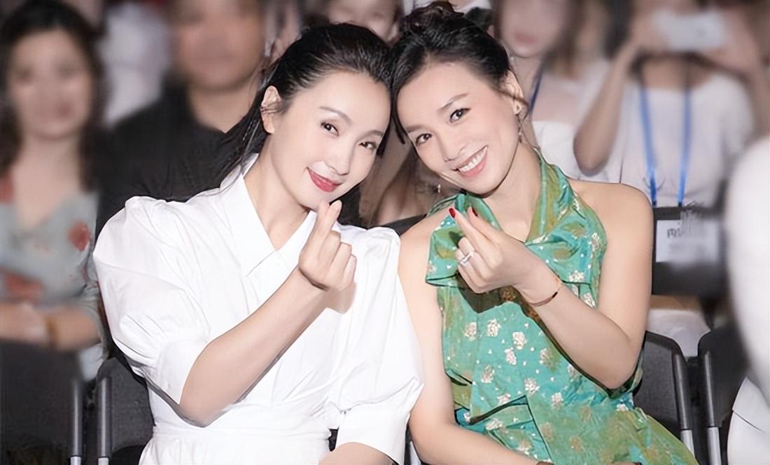 陶虹張庭事件，深度解析背后的真相與影響，陶虹張庭事件深度揭秘，真相與影響探究