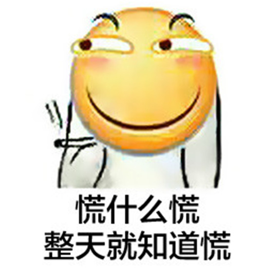 我就在外面蹭一蹭嗶哩嗶哩——探索、體驗與社交媒體的新視角，社交媒體新視角，探索與體驗在嗶哩嗶哩的蹭一蹭之旅
