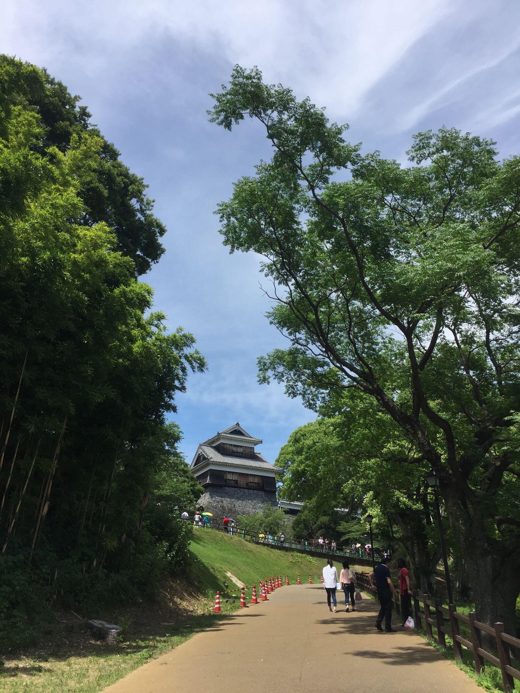 上海游輪旅游路線及價(jià)格詳解，上海游輪旅游路線與價(jià)格全面解析