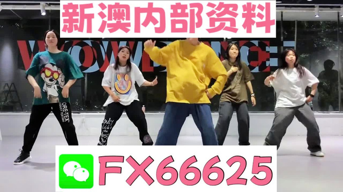 新澳一碼資料，深度解析與SEO優化策略，新澳一碼資料深度解析與SEO優化策略全攻略
