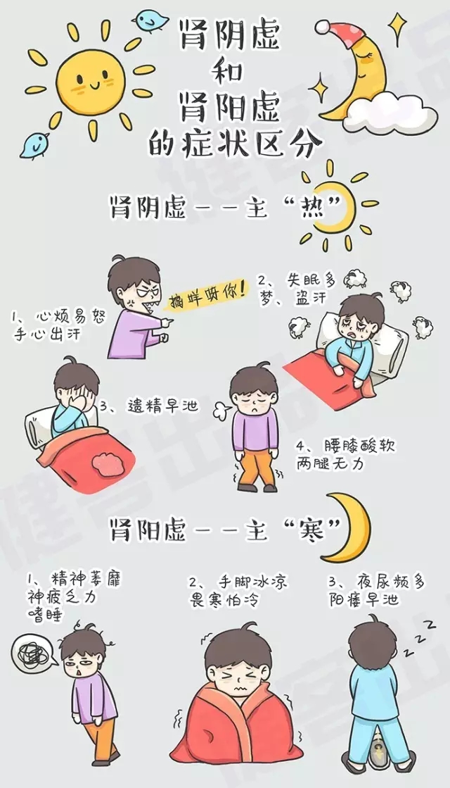 解析腎陰虛與腎陽虛，兩者之間的區別及理解，腎陰虛與腎陽虛，解析其區別與理解