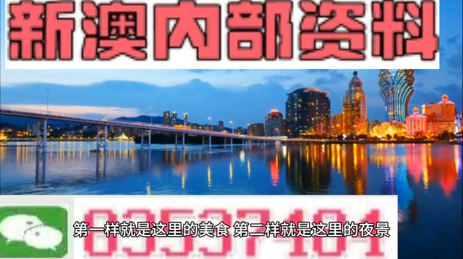 澳門免費精準大全4949，探索澳門博彩魅力的秘密，澳門博彩魅力揭秘，免費精準大全4949探索之旅