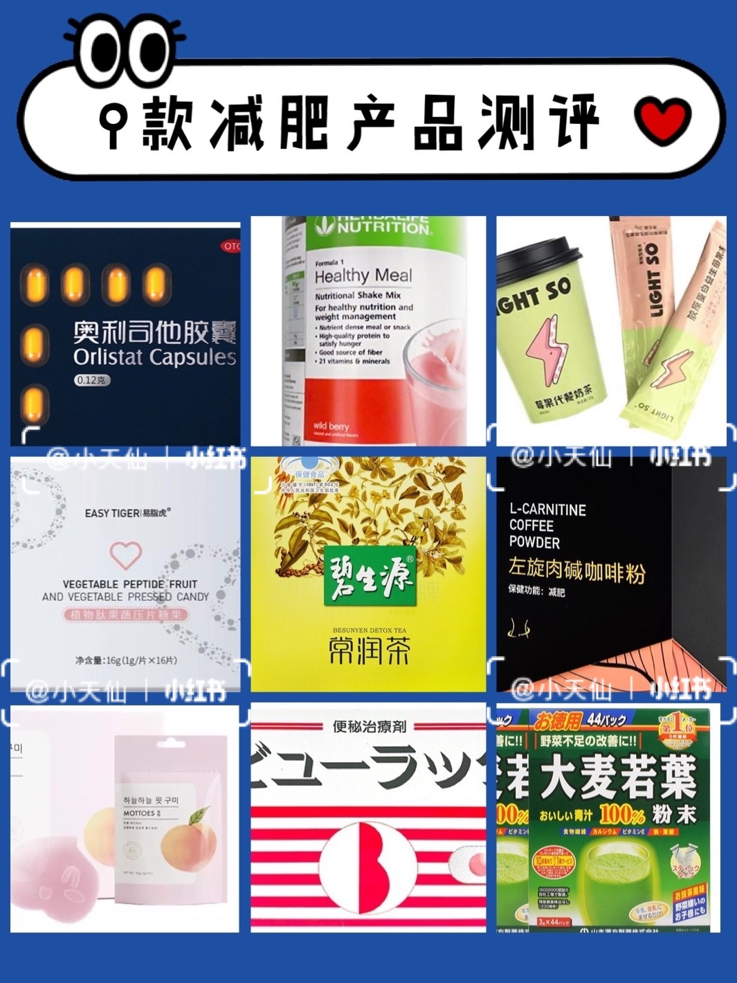 世界公認的減肥藥，探索最有效的減重解決方案，世界公認減肥藥，探索最有效的減重解決方案
