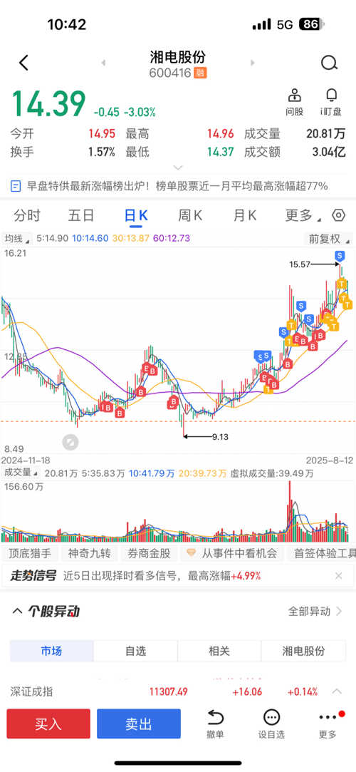 湘電股份股票，深度解析與前景展望，湘電股份股票深度解析及前景展望