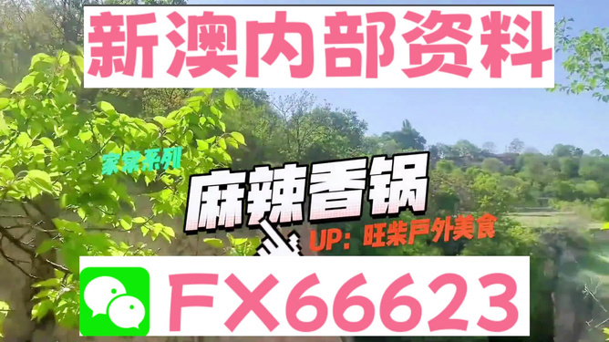 新澳資料最準的網站，權威數據來源與精準信息獲取指南，新澳資料最準網站，權威數據來源與精準信息獲取一站式指南