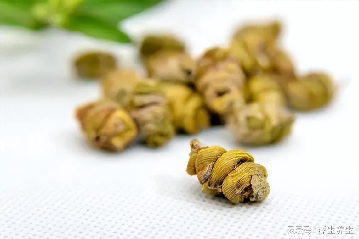三種人千萬不能吃石斛——了解石斛的適用人群，石斛適用人群解析，三種人群需慎用石斛
