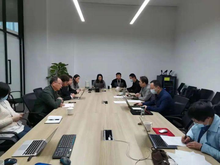 隆平高科股票股，投資潛力與市場前景分析，隆平高科股票投資潛力與市場前景深度解析
