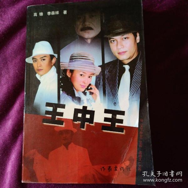 王中王資料一肖中特管系，深度解析與探索，王中王資料一肖中特管系深度解析與探索報告