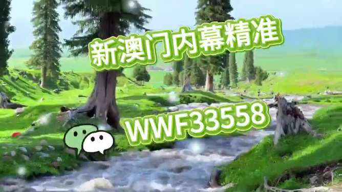 首選王中王打一生肖——揭秘生肖之王的獨特魅力，揭秘生肖之王獨特魅力，王中王所指生肖揭曉