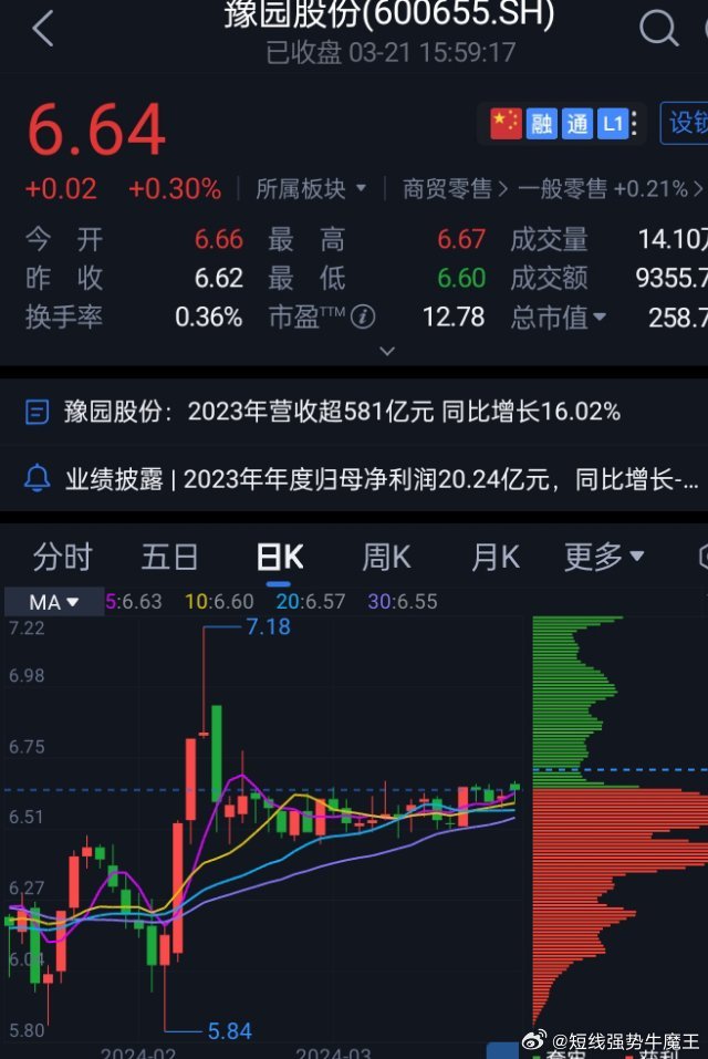 豫園股份股票，深度解析與前景展望，豫園股份股票深度解析及前景展望