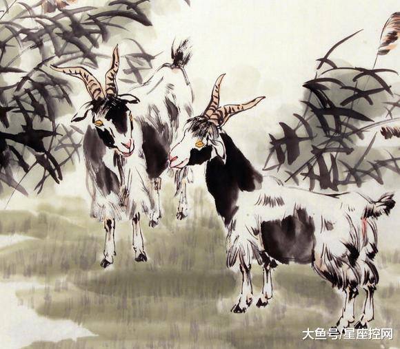 澳門最快開獎六開生肖，揭秘彩票背后的秘密，澳門六開生肖彩票背后的秘密揭曉