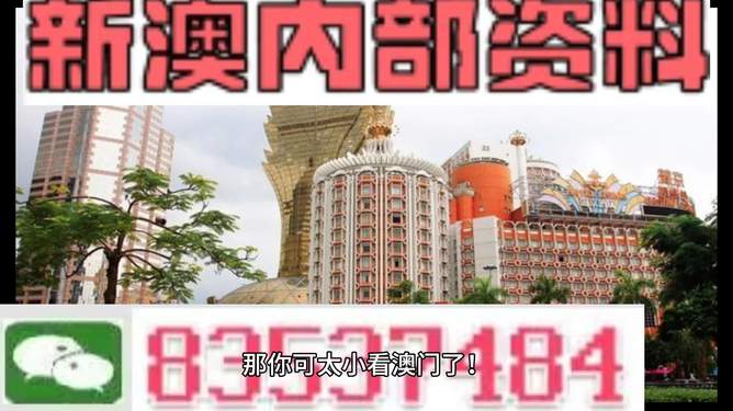 新澳新澳門正版資料，探索與解析，新澳新澳門正版資料深度解析與探索