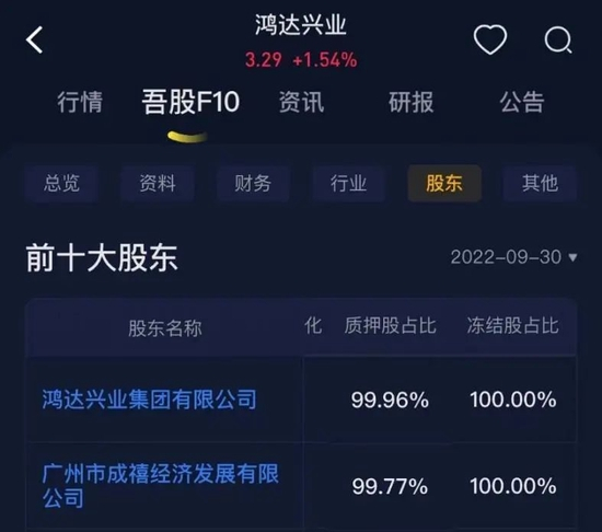 鴻達股份股票，深度解析與前景展望，鴻達股份股票深度解析及未來前景展望