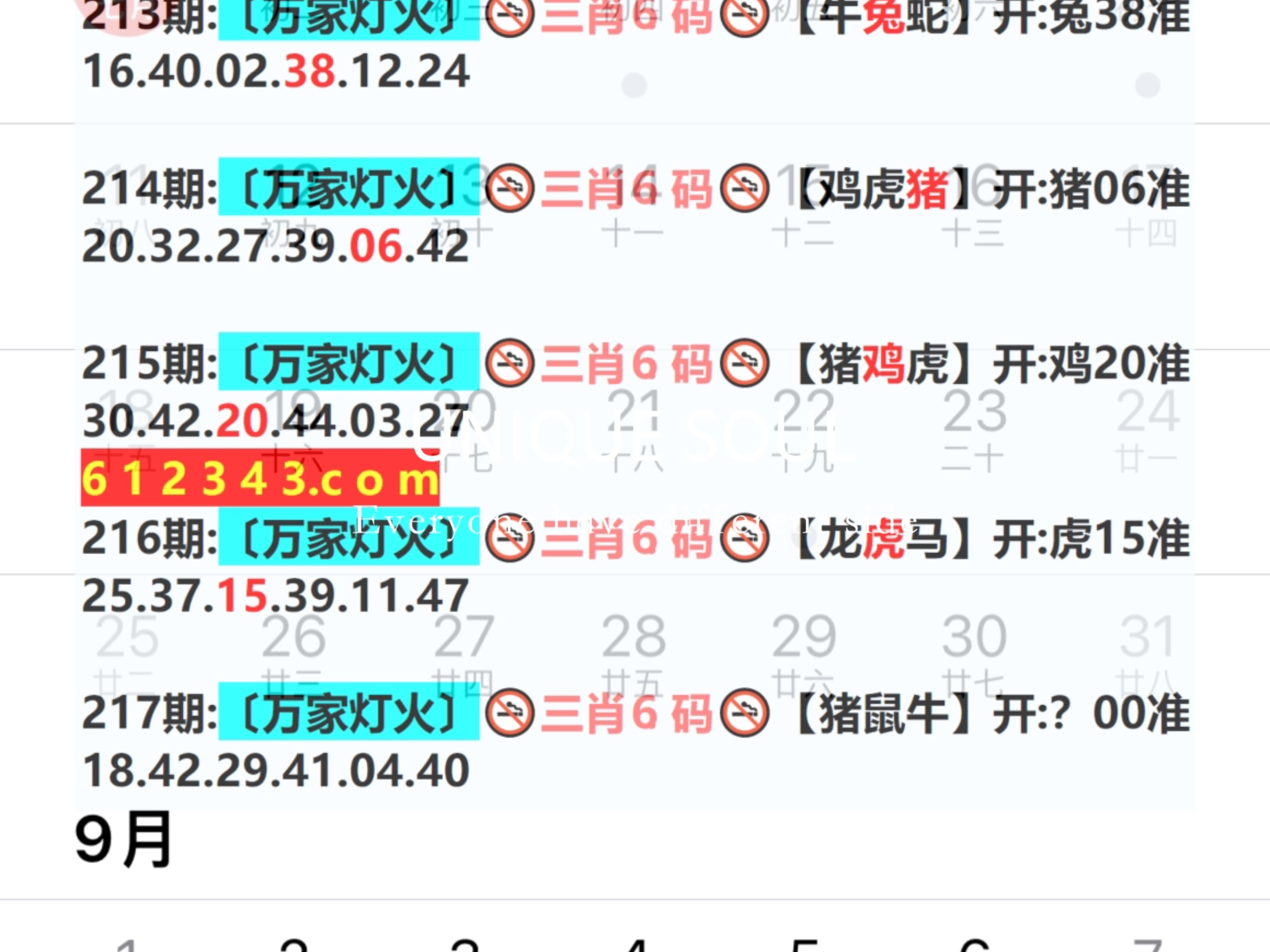 2025年新奧門王中王資料