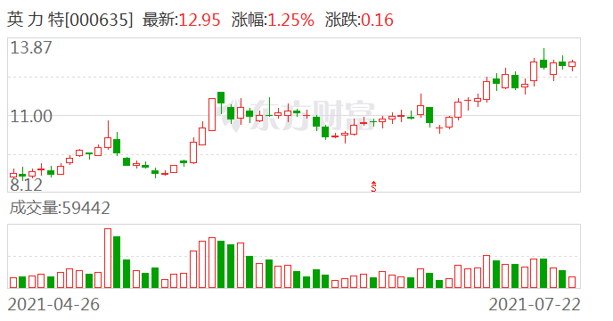 英力特，引領行業變革，展現獨特優勢，英力特，行業變革的引領者，獨特優勢展現無遺